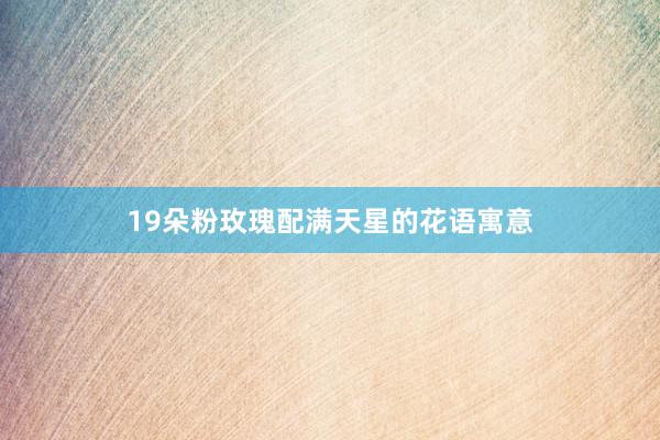 19朵粉玫瑰配满天星的花语寓意