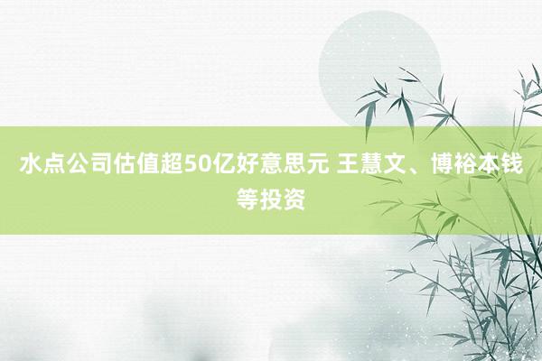 水点公司估值超50亿好意思元 王慧文、博裕本钱等投资