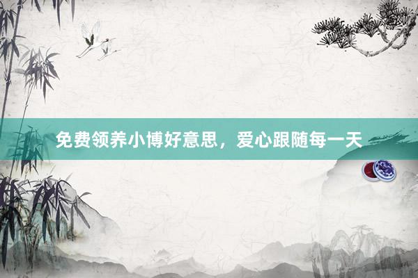 免费领养小博好意思,爱心跟随每一天