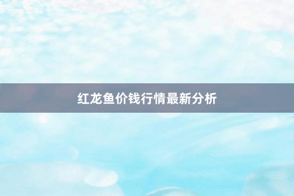 红龙鱼价钱行情最新分析
