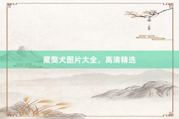 藏獒犬图片大全，高清精选