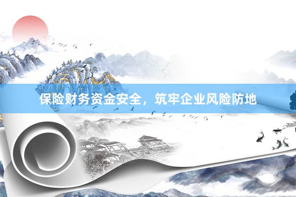 保险财务资金安全,筑牢企业风险防地